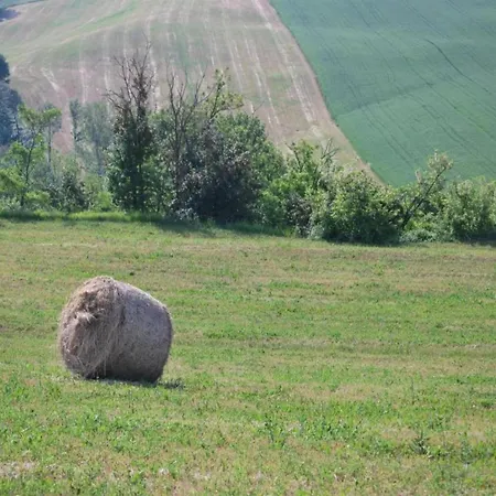Ferienhaus Attractive In Old On The Estate With Pool